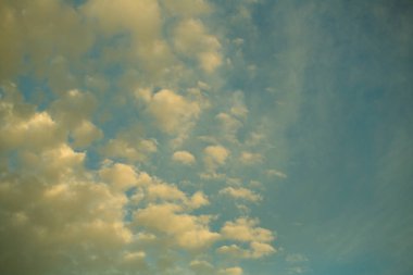 Doğa, çevre, ekoloji