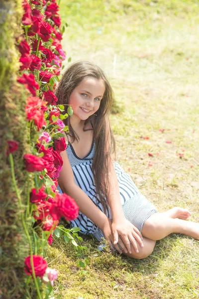 Dia dos namorados, menina, amor, romance, flores, rosas, decoração floral — Fotografia de Stock