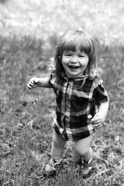 Glad liten pojke på grönt gräs — Stockfoto