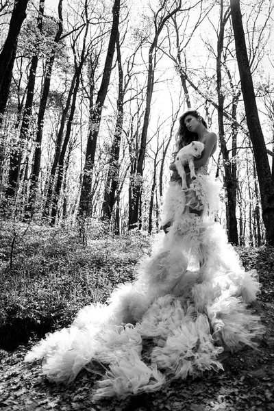 Гламурна жінка з козою в лісі — стокове фото