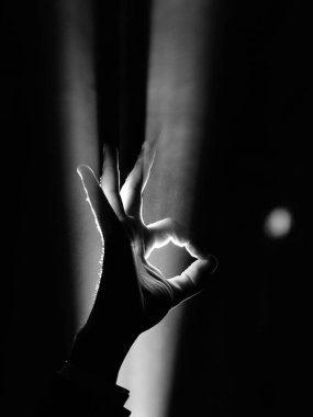 El hareketi spotlight içinde