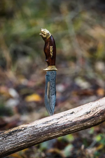 Hunting concept. Hunting knife stabbed into log.
