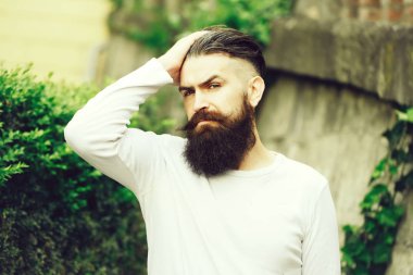 Şık sakallı adam açık