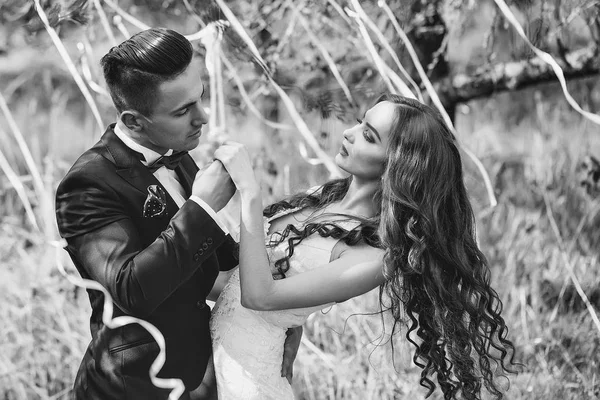 Wedding couple and ribbons on tree — Stock Photo, Image