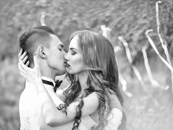 Kissing wedding couple — Stock Photo, Image