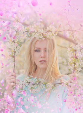 Çiçek açan çiçekler ağaç. Çiçek açan Sacura ağaç