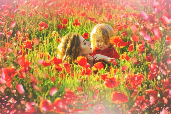 초원, 붉은 양 귀 비 꽃에 꽃 — 스톡 사진