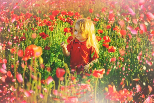 Lindo niño trenzado en el prado de primavera —  Fotos de Stock
