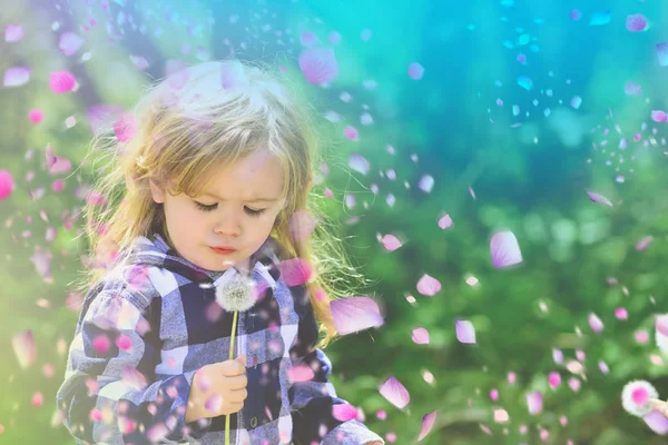 Niño en flores florecientes. Pradera Bloming — Foto de Stock