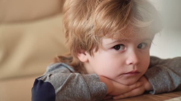 Niño Pequeño Sentado Con Dibujos Animados Aspecto Portátil Niño Aprendiendo — Vídeos de Stock