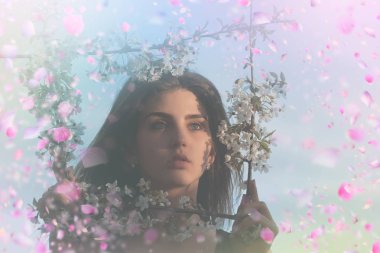 Çiçek açan çiçekler ağaç. Çiçek açan Sacura ağaç