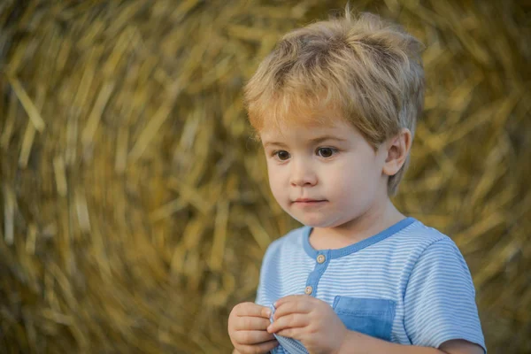 Pojke spela på farm eller ranch fält, semester — Stockfoto