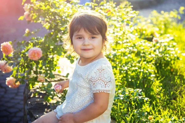 Kislány ül virágzó rózsabokor napsütéses napon — Stock Fotó