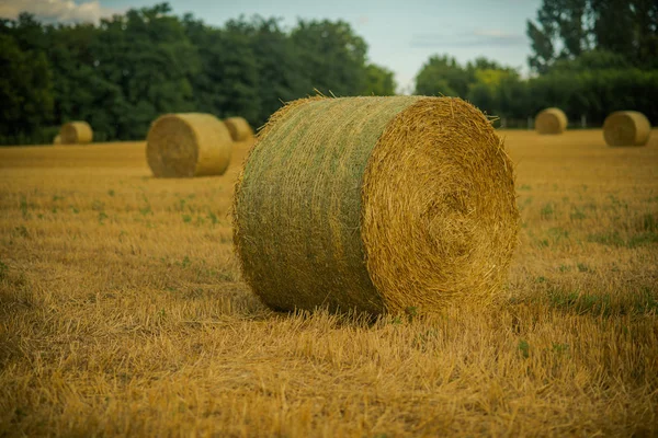 Betakarítás táj szalmabálákat — Stock Fotó