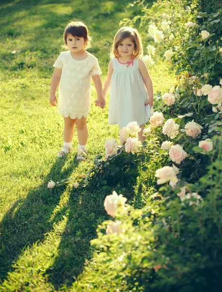 Діти стоять на зеленій траві під час цвітіння трояндових квітів — стокове фото