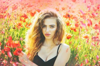 Bahar çiçekleri tatlı kız. Bahar çiçekleri çayırda