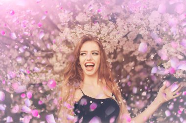 Çiçek açan çiçekler ağaç. Çiçek açan Sacura ağaç