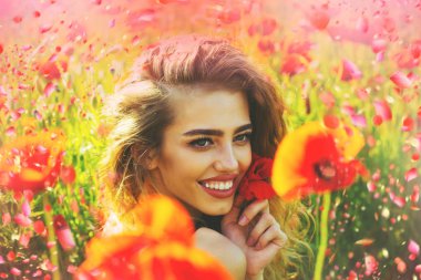 Çiçek açan çiçekler ağaç. Çiçek açan Sacura ağaç