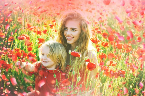Blumen auf der Wiese, rote Mohnblume — Stockfoto