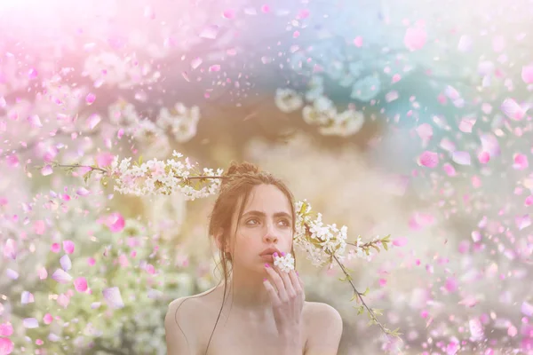 Chica con árbol de sacura. Cerezo . — Foto de Stock