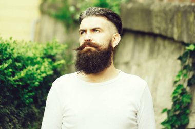 Şık sakallı adam açık