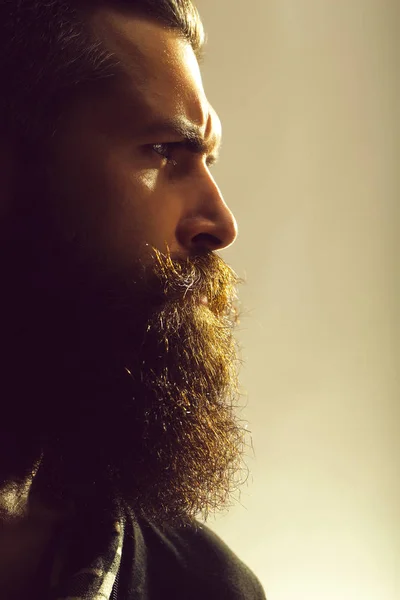 Bearded man in studio — Stock Photo, Image