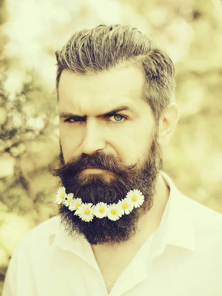 Homem bonito com flores na barba — Fotografia de Stock