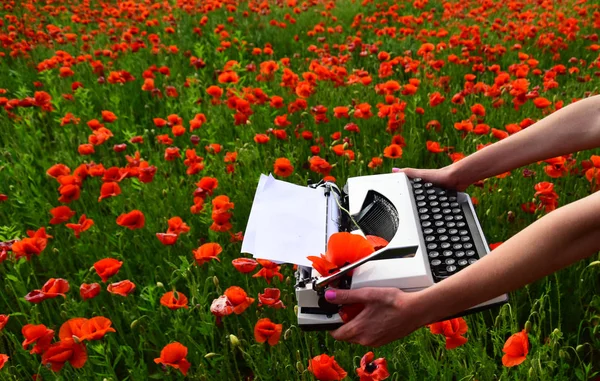 Mák setý, agilní podnikání, ekologie. — Stock fotografie