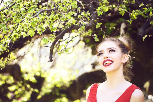 Mulher atraente com árvore de primavera — Fotografia de Stock