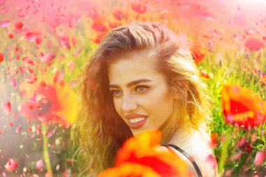 Çiçek açan çiçekler ağaç. Çiçek açan Sacura ağaç