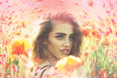 Çiçek açan çiçekler ağaç. Çiçek açan Sacura ağaç