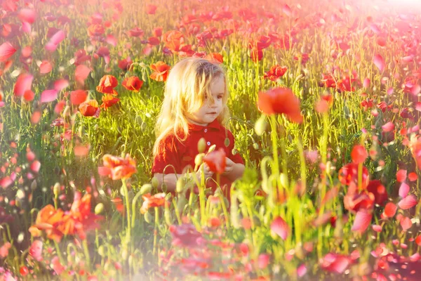 Criança feliz. Criança em flores — Fotografia de Stock