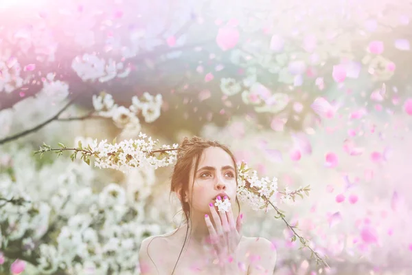 Chica con árbol de sacura. Cerezo . — Foto de Stock