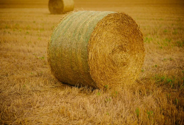 Jordbruk, jordbruk, ekologi. — Stockfoto