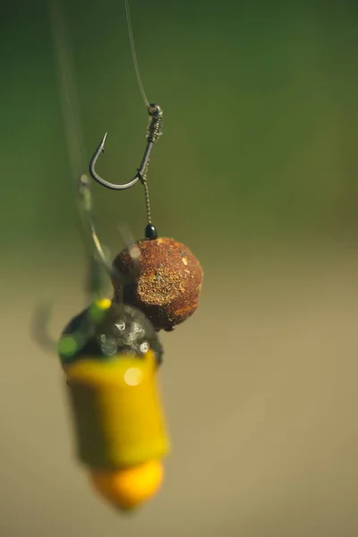 Hooks device for fishing, angling, catching fish, carp fishing — Stock Photo, Image