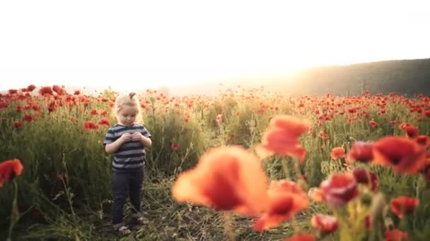 Glückliches Kind Spielt Mit Blumen Mohnfeld Bei Sonnenuntergang Spaziergang Der — Stockvideo