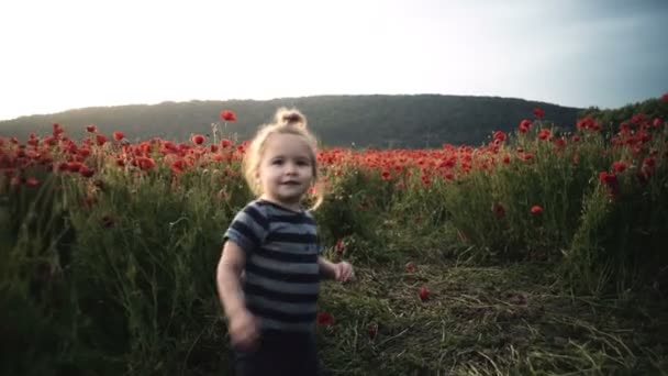 Lyckligt Barn Spelar Med Blommor Vallmofält Solnedgången Promenad Friska Luften — Stockvideo