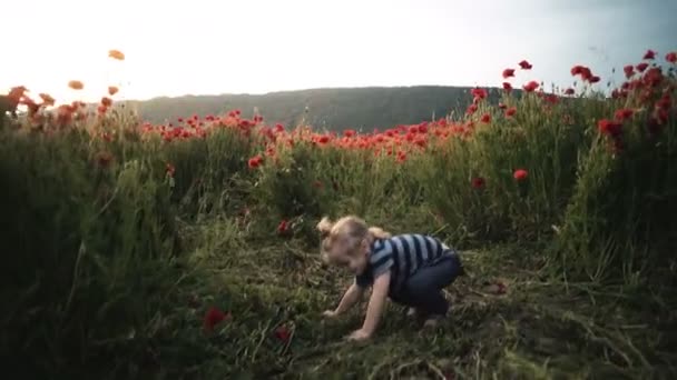 Ευτυχισμένο Παιδί Παίζει Άνθη Πεδίο Παπαρούνας Στο Ηλιοβασίλεμα Πόδια Καθαρό — Αρχείο Βίντεο