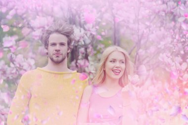 İki flovers içinde. Pembe çiçekler bahar. Sevgililer günü.