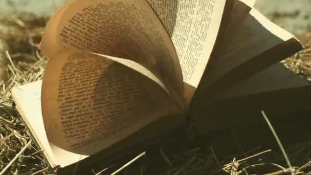Açık Kitap Saygısız Sayfaları Ile Kitabın Sayfalarında Rüzgar Esiyor — Stok video