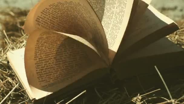 Libro Aperto Con Pagine Sfogliate Vento Soffia Sulle Pagine Del — Video Stock