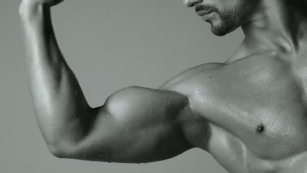 Desportista Musculatura Atleta Tríceps Caucasiano Atlético Seis Alcateias Músculos Peito — Vídeo de Stock