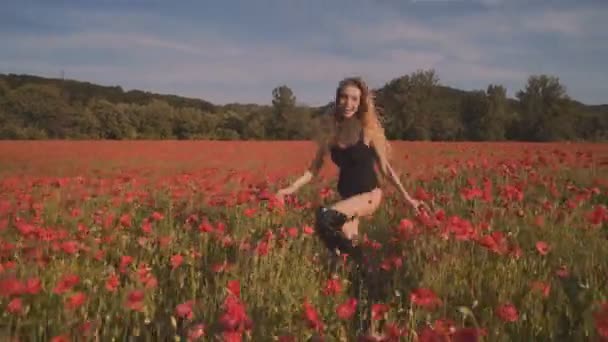 Menina Sensual Campo Papoula Rapariga Terreno Rapariga Deitada Campo Menina — Vídeo de Stock