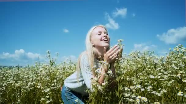 夏の草原にカモミールの花 カモミール草原で美しい女性 — ストック動画