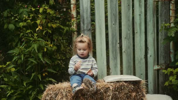有趣的小男孩在农场里吃东西 孩子享受秋天的季节和欢笑 快乐的童年 生活方式的概念 — 图库视频影像
