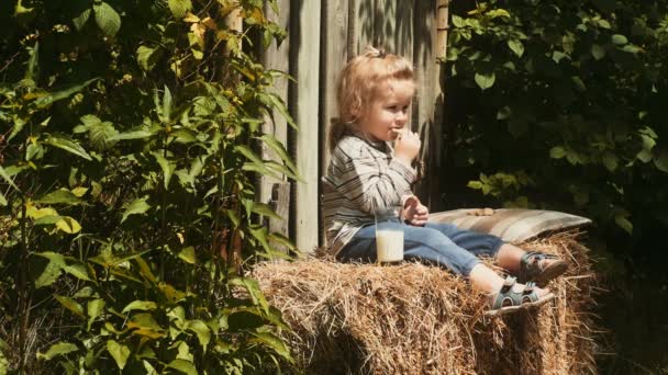 有趣的小男孩在农场里吃东西 孩子享受秋天的季节和欢笑 快乐的童年 生活方式的概念 — 图库视频影像