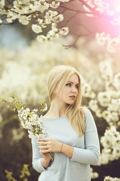 Güzel genç kız ile kiraz bahçesinde bahar çiçek — Stok fotoğraf
