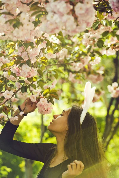 Vrouw met roze bunny oren ruiken sakura bloemen uit boom — Stockfoto