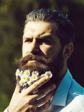 Sakallı yakışıklı adam.