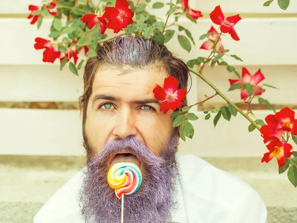 Bearded man with blue beard and lollipop — Stock Photo, Image